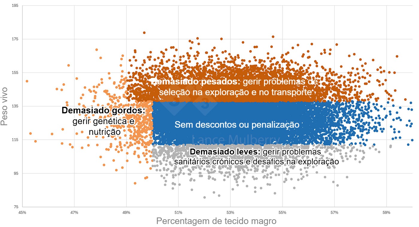 <p>Figura 1: Os dados do matadouro, combinados com outros dados como a nutrição, o estado de saúde, a exploração de reprodução, etc., podem ajudar a identificar as causas da variação, bem como as medidas necessárias para as resolver.</p>
